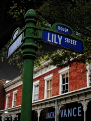 The House On Lily Street