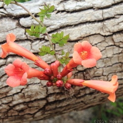 James River Park South