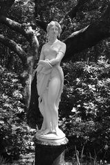 Virginia Dare (You To Enter The Woods)