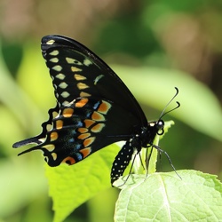 York River State Park